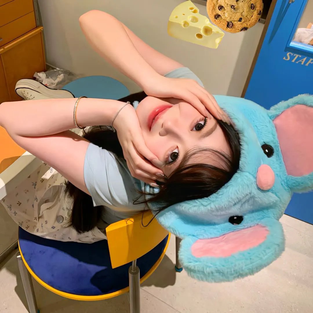 舞动全城粤语