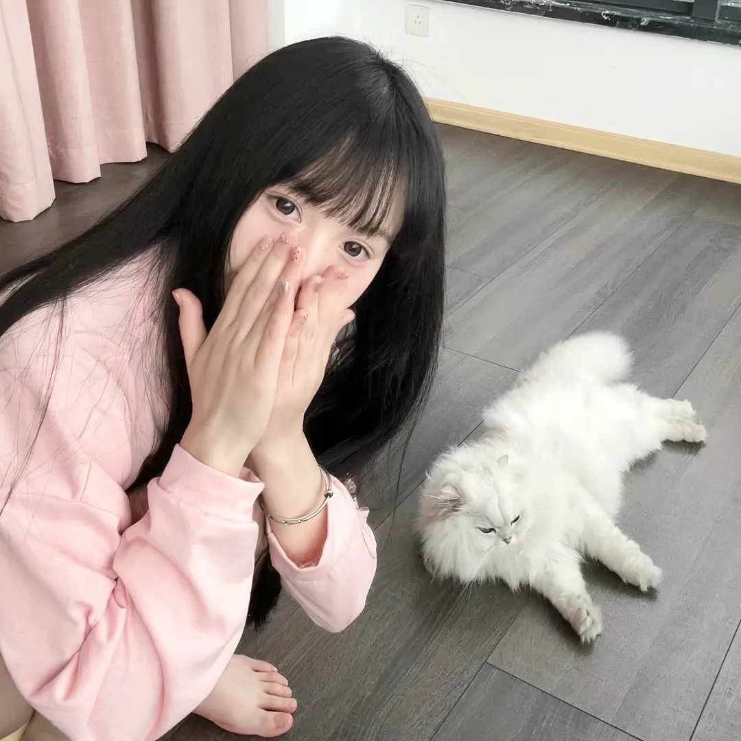 铁甲小宝