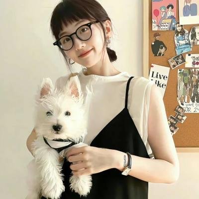 掌门低调点 动态漫第一季